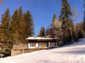 Ski-In Chalet in top location